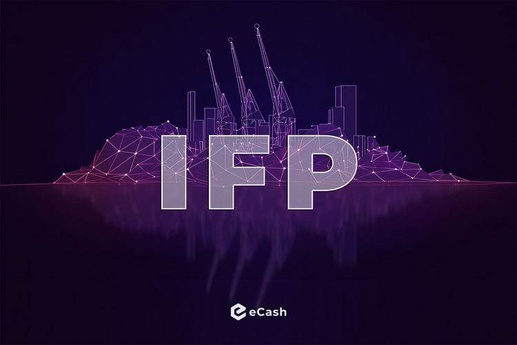 The Infrastructure Funding Policy: Sustainability for Blockchain