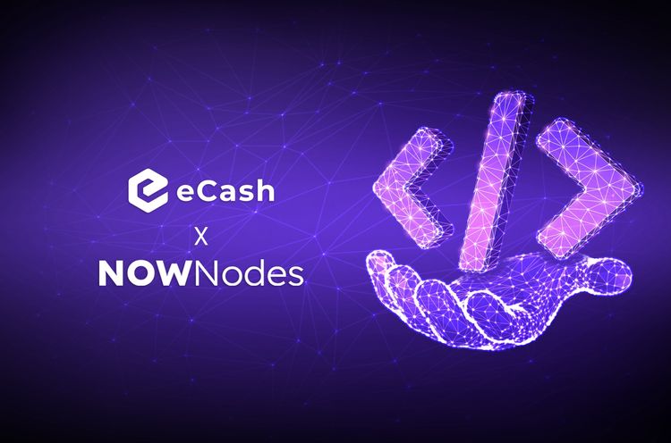 Track and Verify eCash Transactions Using NOWNodes