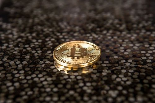 Is There a Future for Cryptocurrencies Without Privacy Features?