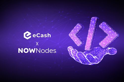 Track and Verify eCash Transactions Using NOWNodes